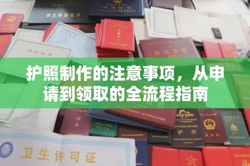肇源护照制作的注意事项，从申请到领取的全流程指南