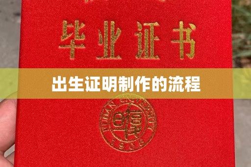 月湖出生证明制作的流程
